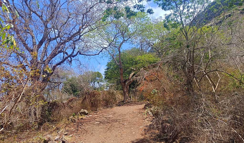Der Weg auf dem Le Morne Brabant ist größtenteils auch für ungeübte Wanderer zu bewältigen. Foto: Michael Schabacker