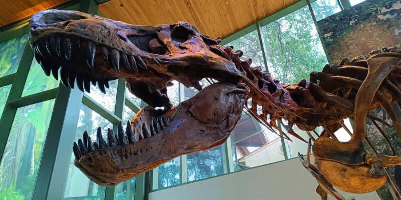 Foto: Michael Schabacker