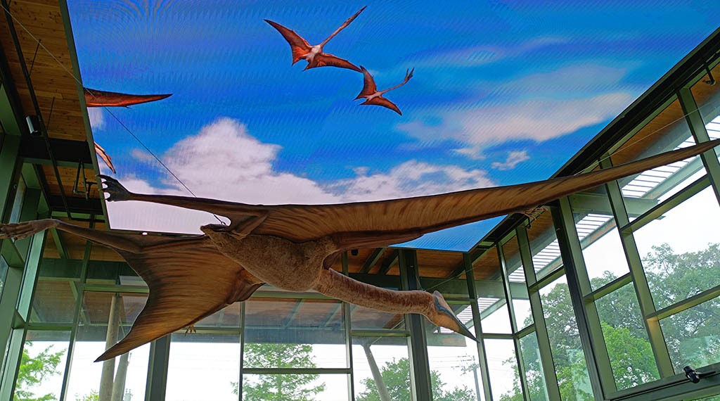 Eindrucksvoll: Schon beim Betreten des Witte Museums zeigt sich die eindrucksvolle paläontologische Ausstellung. Foto: Michael Schabacker