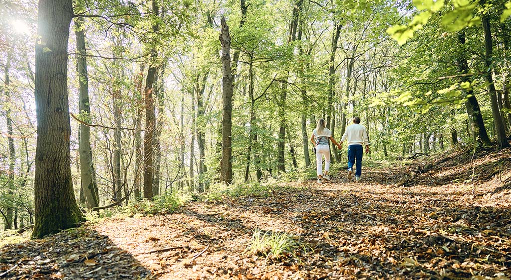 Die Region bietet etliche Wandermöglichkeiten. Foto: Wald.Weit