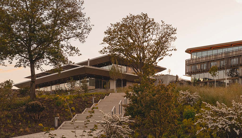 Das Wald.Weit: eingebettet in die Natur. Foto: Wald.Weit