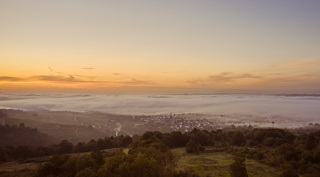 Blick auf den Ort Kiedrich. Foto: Wald. Weit