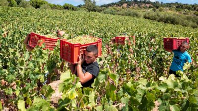 Foto: Antichi Poderi di Jerzu