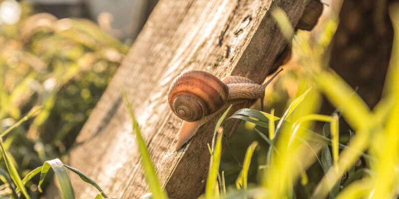Foto: Österreich Werbung