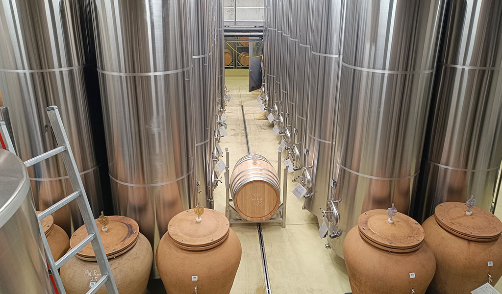 Stahltanks und Amphoren im Weingut. Foto: Michael Schabacker