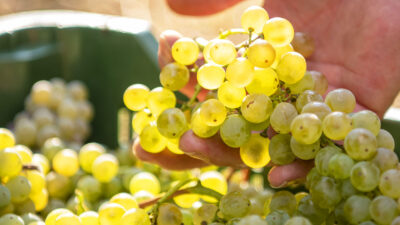 Foto: Viandante del Cielo