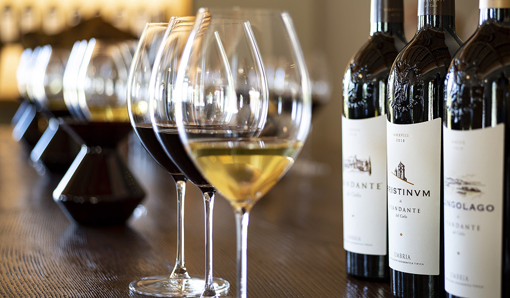 Der Pristinvm des Weinguts. Foto: Viandante del Cielo