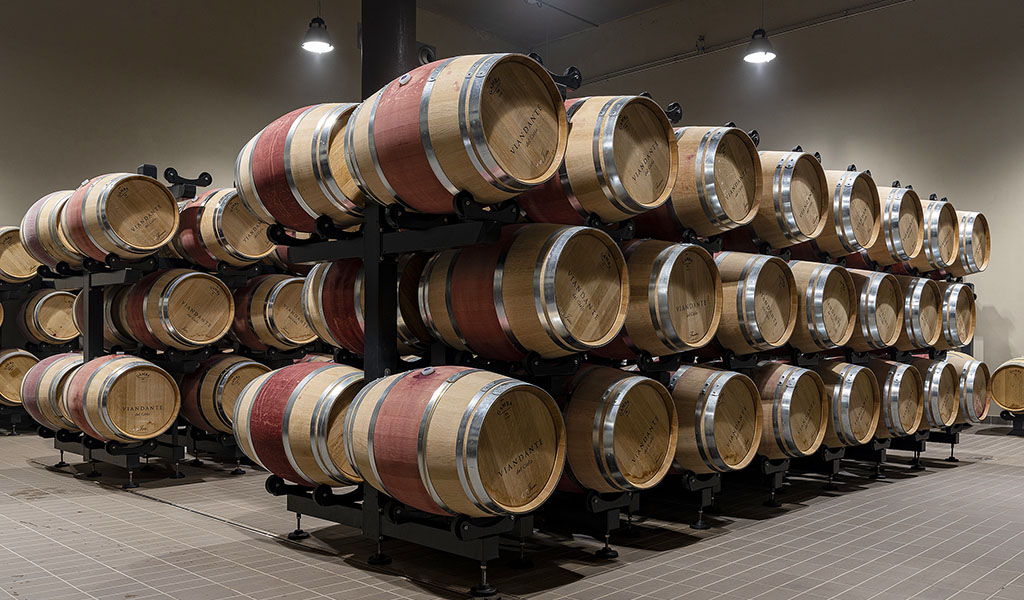 Im Fasskeller des Weinguts. Foto: Viandante del Cielo