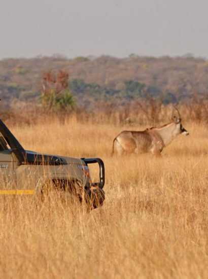 Foto: Cuatir Nature Reserve