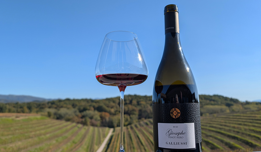 Der Pinot Nero von Galliussi. Foto: Carola Faber