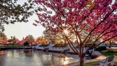 Foto: Discover Long Island