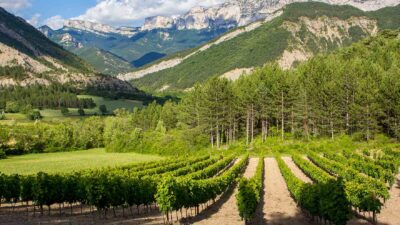 Foto: L. Pascale Drome Attractivite