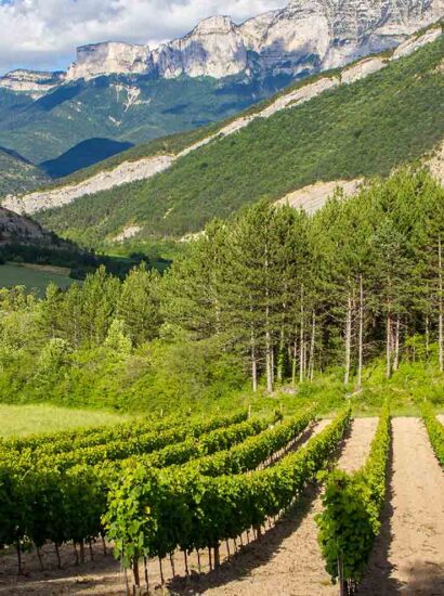 Foto: L. Pascale Drome Attractivite