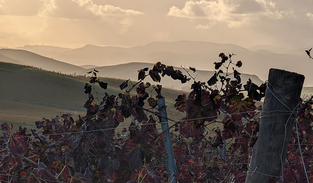 Gebirge im Nordosten der Insel. Foto: Carola Faber