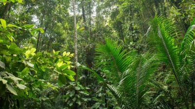 Foto: Tobago Tourism Agency