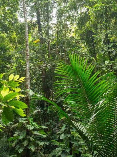 Foto: Tobago Tourism Agency