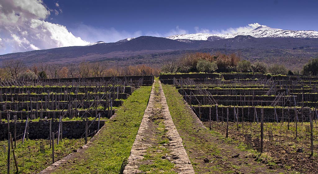 Das Weingut. Foto: Tasca d`Almerita