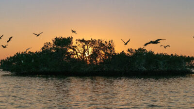 Foto: Courtesy of Naples, Marco Island, Everglades CVB