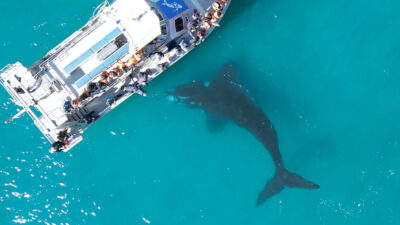 Foto: SOUTH AFRICAN TOURISM