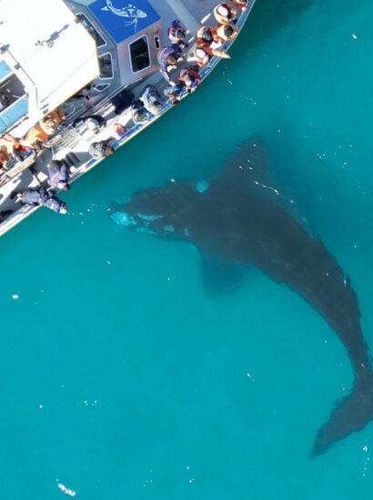 Foto: SOUTH AFRICAN TOURISM