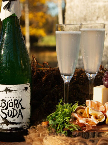 Foto: Mattias Bokinge