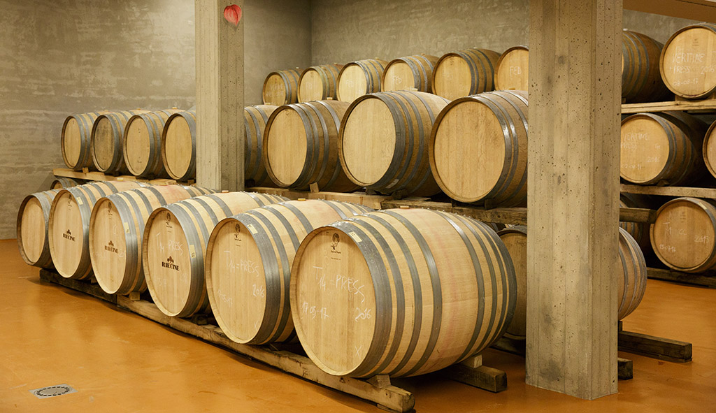Der Weinkeller von Riecine. Foto: Riecine