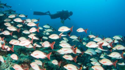 Foto: Centara Hotels & Resorts