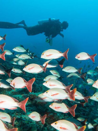 Foto: Centara Hotels & Resorts