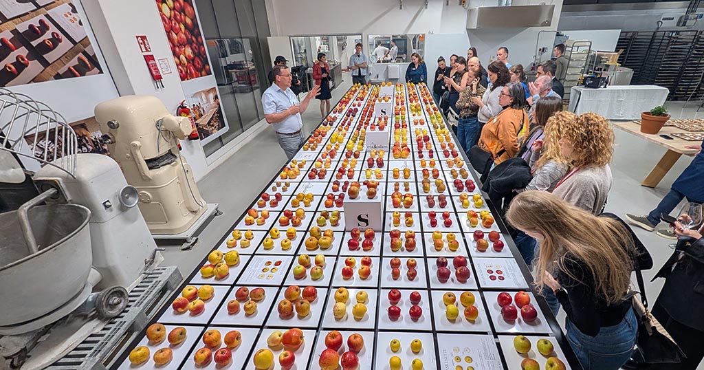 Präsentation bei der „The Heart of Food“. Foto: Carola Faber