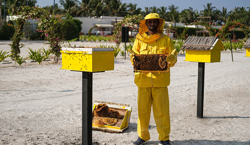 Unerwartet: Bienenstöcke am Hotel. Foto: Minor Hotels