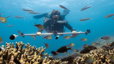 Foto: Six Senses Kanuhura