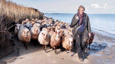 Foto: Sonja Rommerskirch / Sylt Marketing