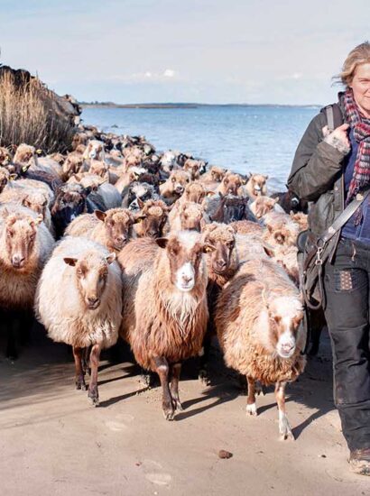 Foto: Sonja Rommerskirch / Sylt Marketing