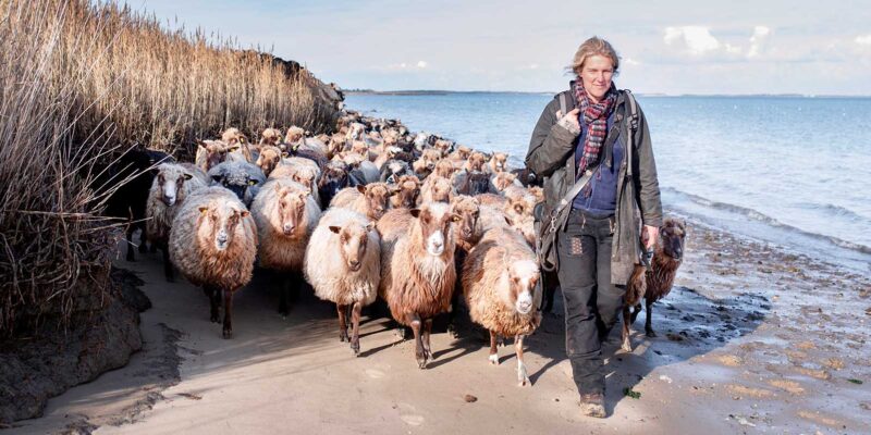 Foto: Sonja Rommerskirch / Sylt Marketing