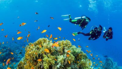 Foto: The Nautilus Maldives
