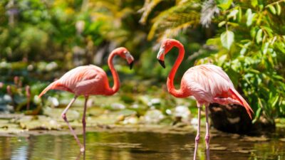 Foto: Fort Myers - Islands, Beaches and Neighborhoods