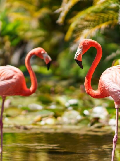 Foto: Fort Myers - Islands, Beaches and Neighborhoods