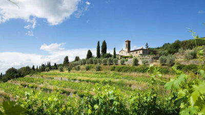 Foto: Querciabella
