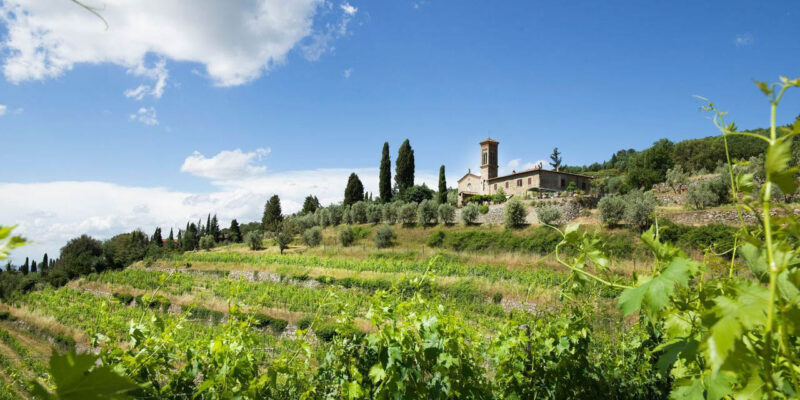 Foto: Querciabella