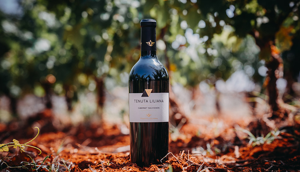 Cabernet Sauvignon. Foto: Tenuta Liliana