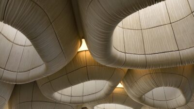Foto: Corallium - Marine Life Institute