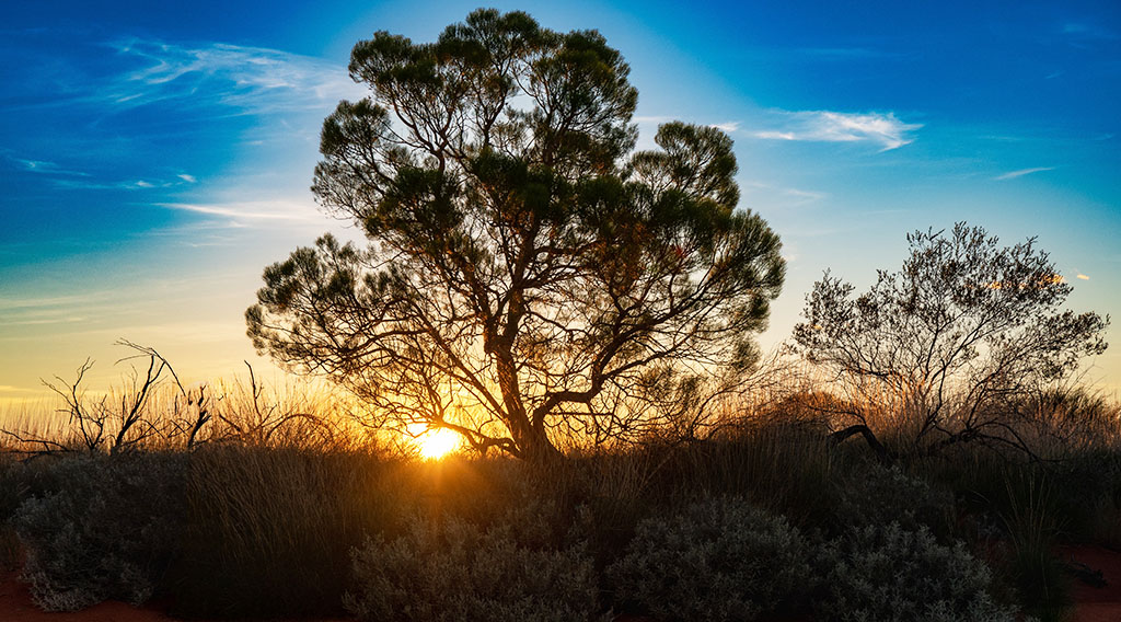 Spektakulär: Sonnenaufgang am Ayers Rock. Foto: pixabay