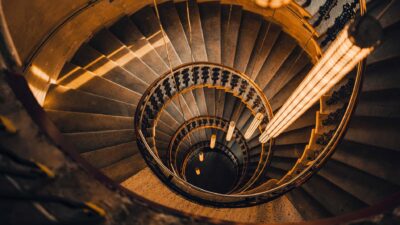 Foto: The Companion Vienna