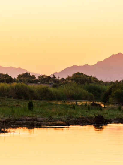 Foto: Courtesy of Visit Yuma