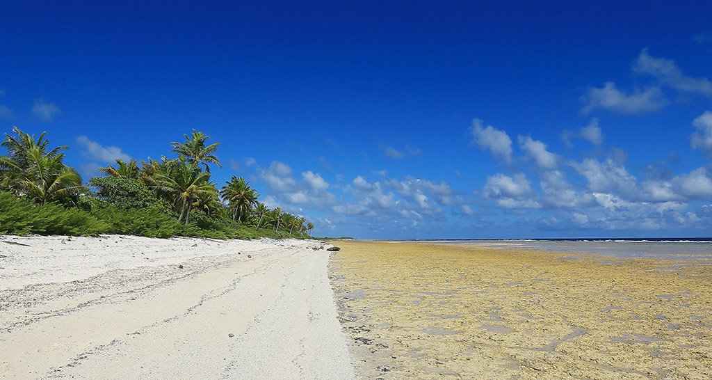 Paradies soweit das Auge reicht. Foto: Frank Dieter Sistenich
