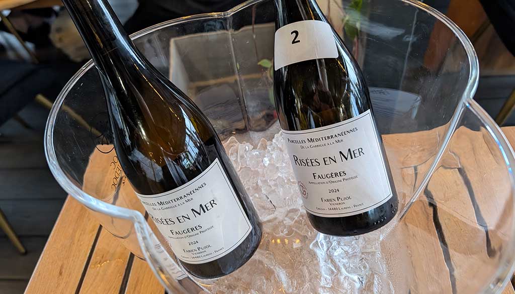 Vigneron-Wein aus Languedoc-Roussillon. Foto: Carola Faber