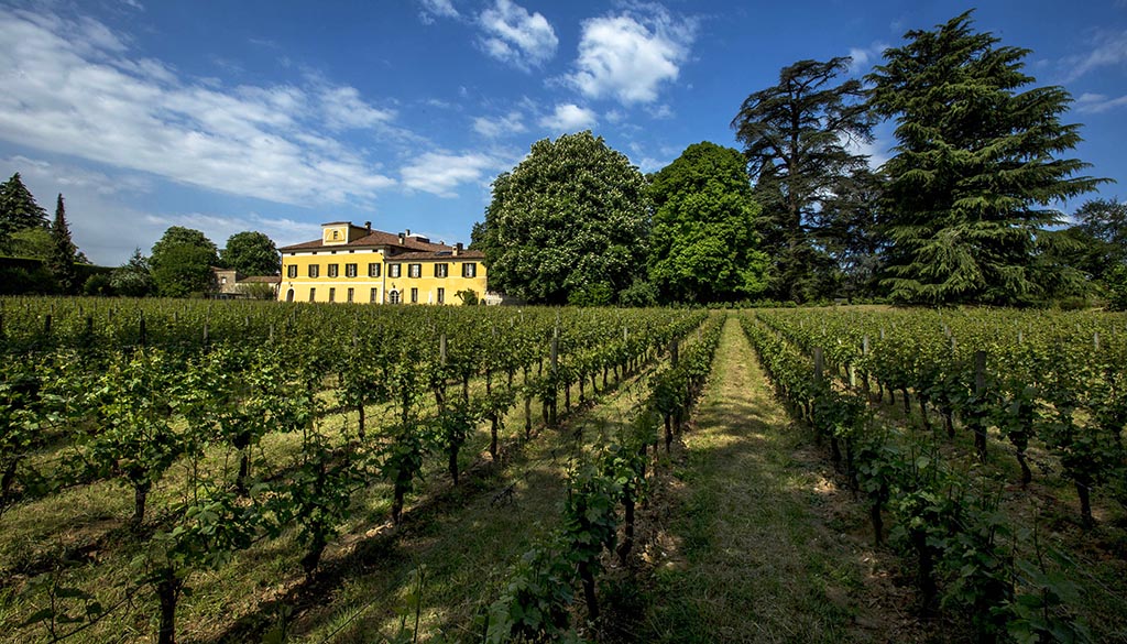 Das Weingut Mosnel mit angrenzender Rebfläche. Foto: Mosnel