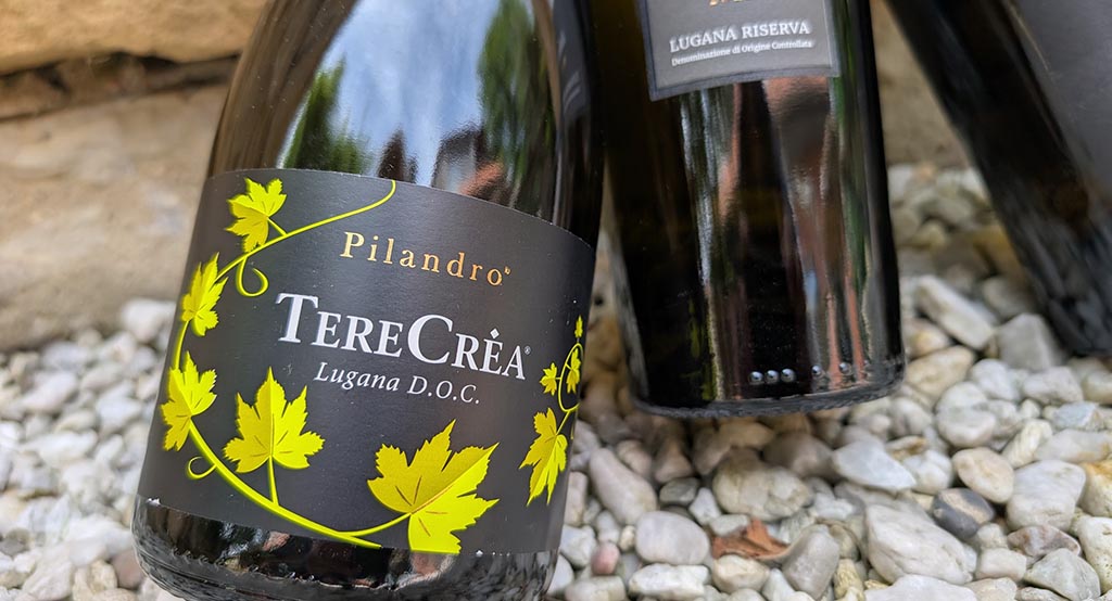 Wein von Pilandro. Foto: Carola Faber