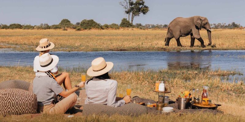 Foto: Wilderness