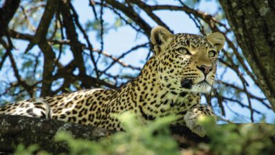 Foto: Great Plains Conservation